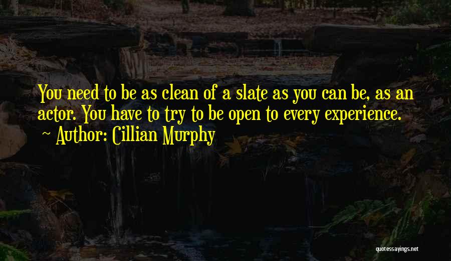 Mr Slate Quotes By Cillian Murphy