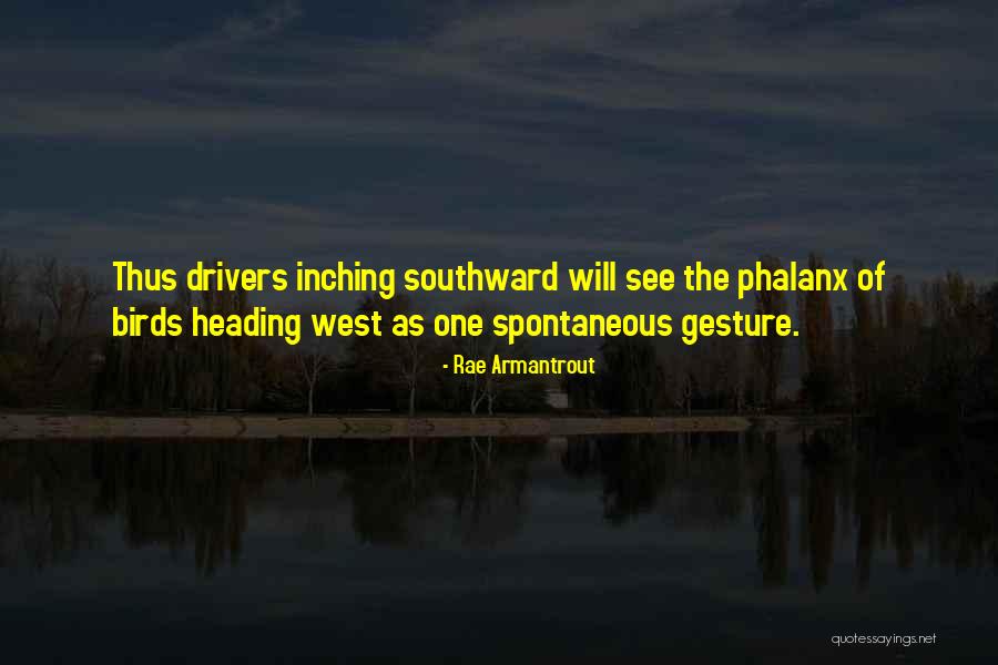 Mr Splitfoot Quotes By Rae Armantrout Mr Splitfoot Quotes By Rae Armantrout