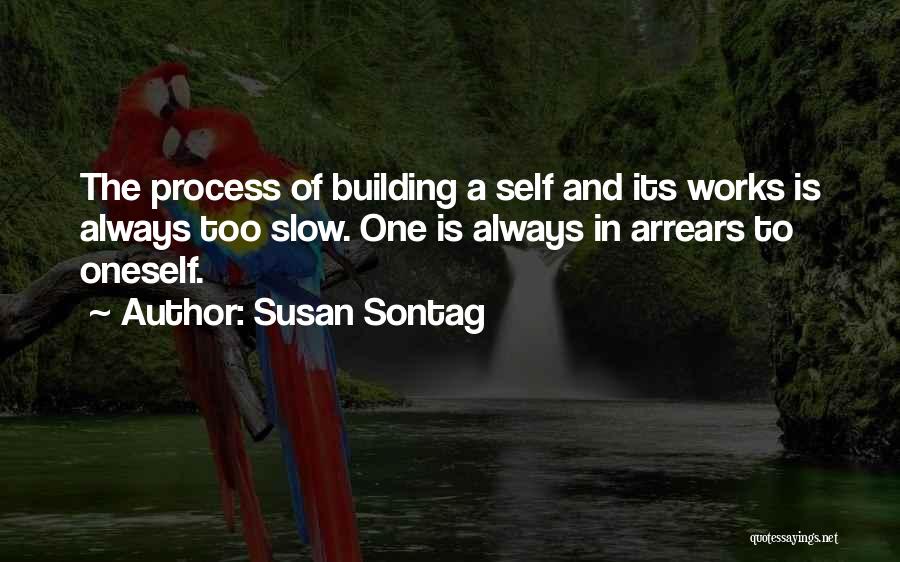 Mr Susan Quotes By Susan Sontag