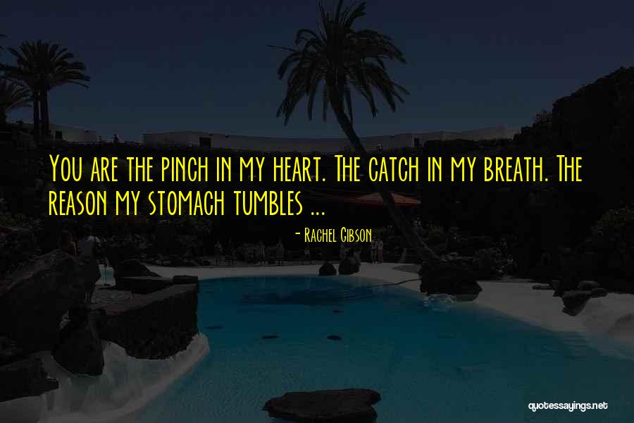 Mr Tumbles Quotes By Rachel Gibson Mr Tumbles Quotes By Rachel Gibson