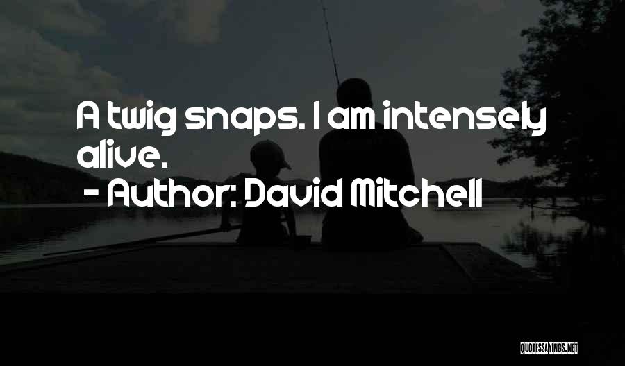 Mr Twig Quotes By David Mitchell