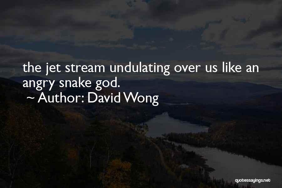 Mr Wong Quotes By David Wong