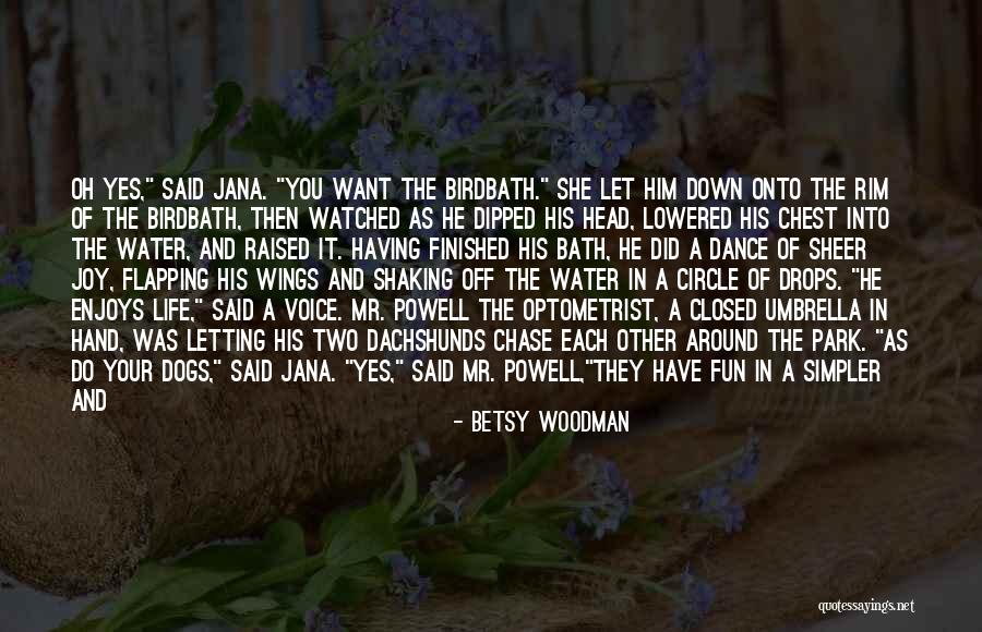 Mr. Woodman Quotes By Betsy Woodman