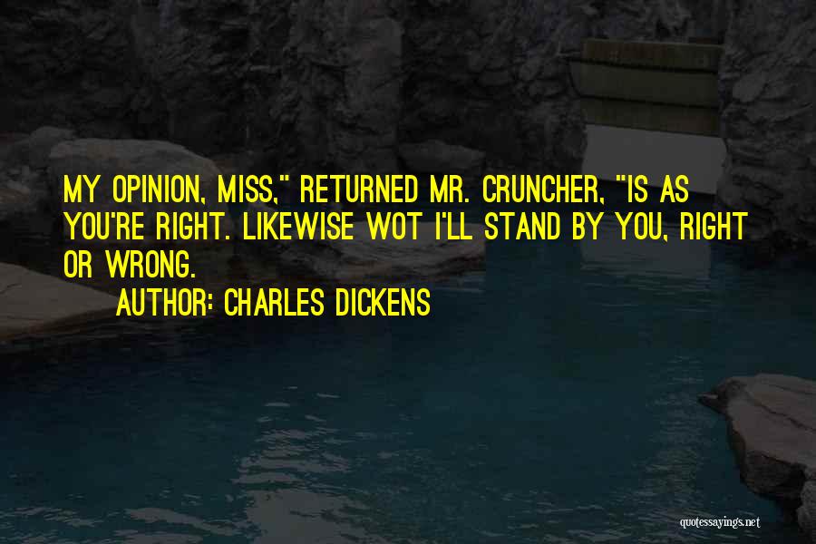 Mr Wrong Mr Right Quotes By Charles Dickens