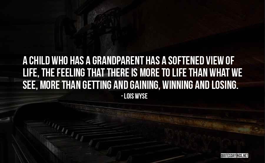 Mr Wyse Quotes By Lois Wyse