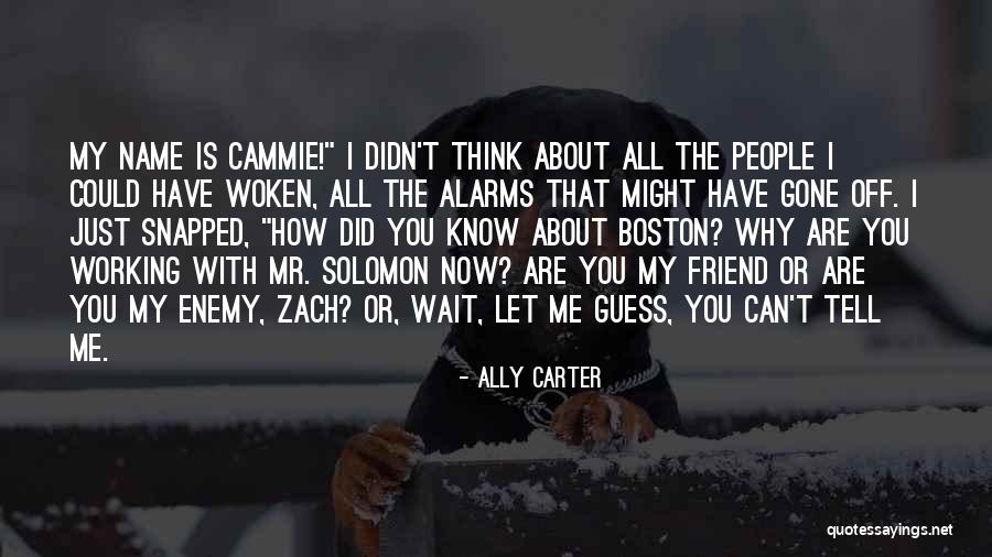 Mr Young Quotes By Ally Carter Mr Young Quotes By Ally Carter
