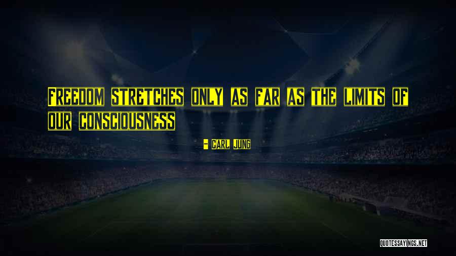 Mrasek Associates Quotes By Carl Jung Mrasek Associates Quotes By Carl Jung