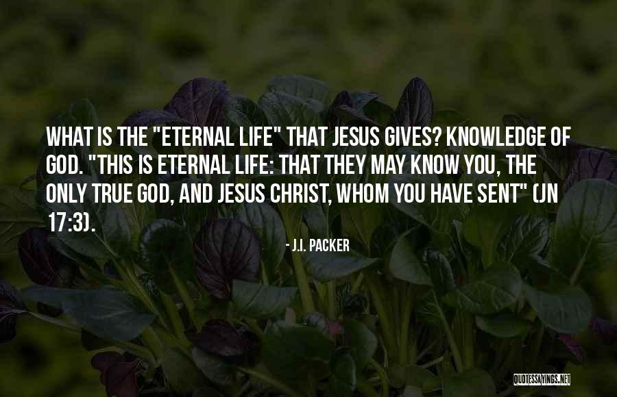 Mrdjan Bajic Vajar Quotes By J.I. Packer Mrdjan Bajic Vajar Quotes By J.I. Packer