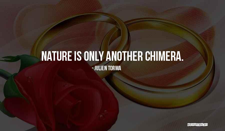 Mree Lift Quotes By Julien Torma Mree Lift Quotes By Julien Torma