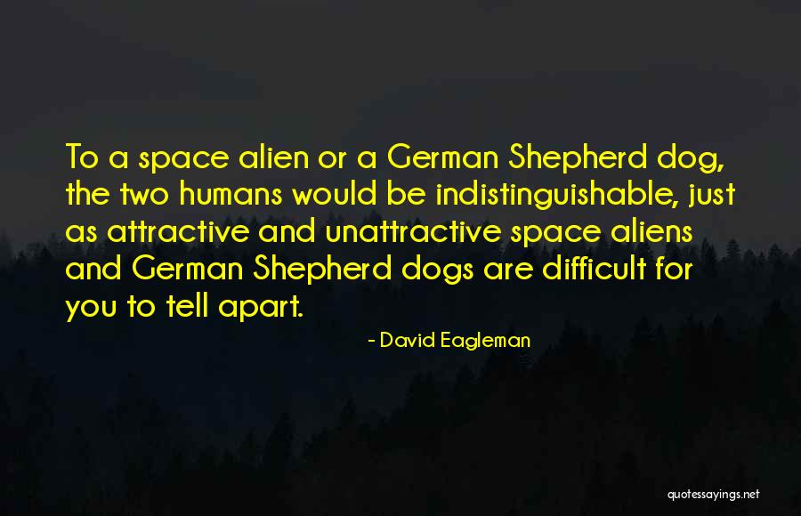 Mrinal Jha Quotes By David Eagleman Mrinal Jha Quotes By David Eagleman