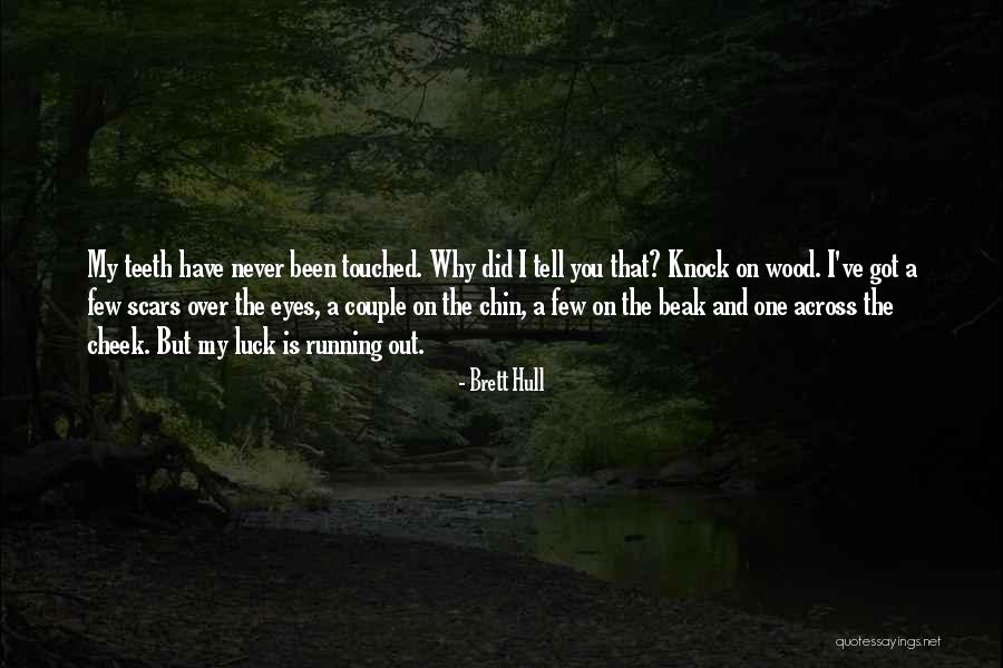 Mrinalini Mata Quotes By Brett Hull Mrinalini Mata Quotes By Brett Hull