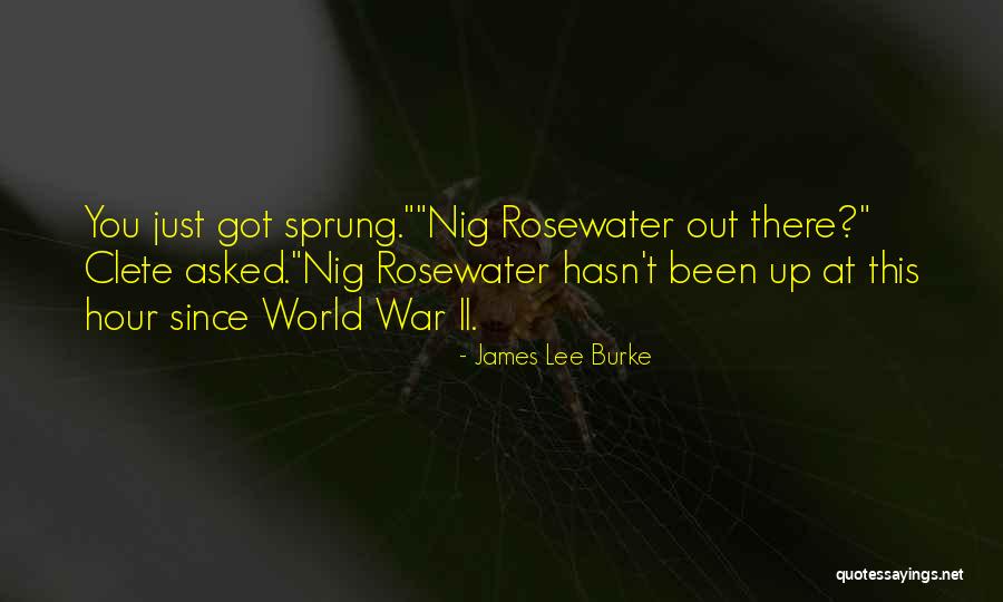 Mrkonjici Quotes By James Lee Burke Mrkonjici Quotes By James Lee Burke