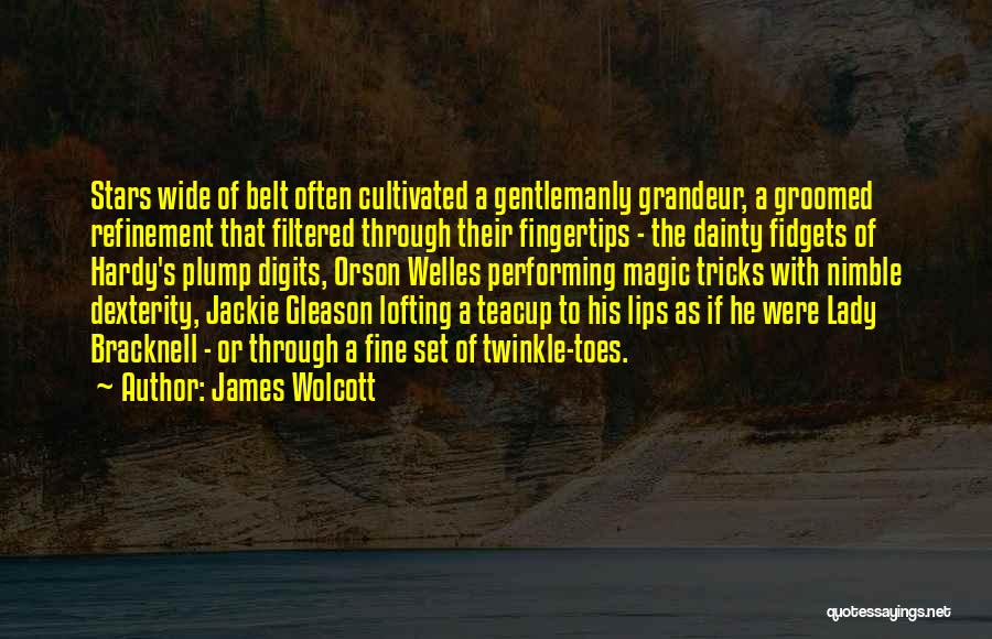 Mrs Bracknell Quotes By James Wolcott