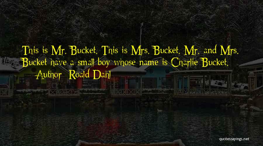 Mrs Bucket Quotes By Roald Dahl