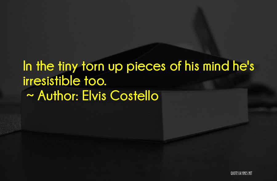 Mrs Costello Quotes By Elvis Costello