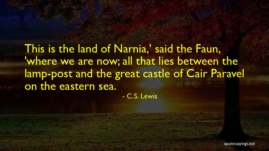 Mrs Faun Quotes By C.S. Lewis Mrs Faun Quotes By C.S. Lewis