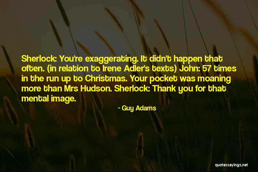 Mrs Hudson Quotes By Guy Adams Mrs Hudson Quotes By Guy Adams