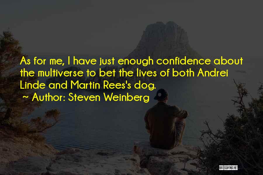 Mrs Linde Quotes By Steven Weinberg