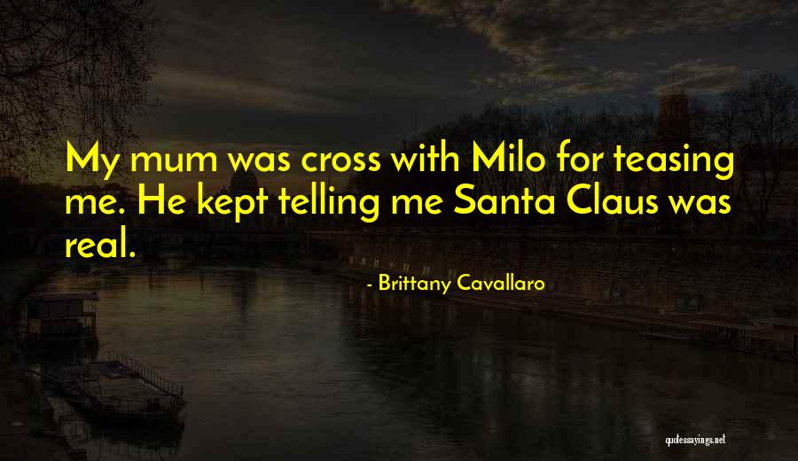 Mrs. Santa Claus Quotes By Brittany Cavallaro