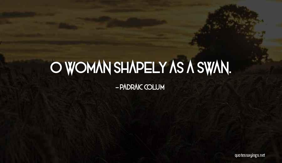 Mrs Swan Quotes By Padraic Colum Mrs Swan Quotes By Padraic Colum