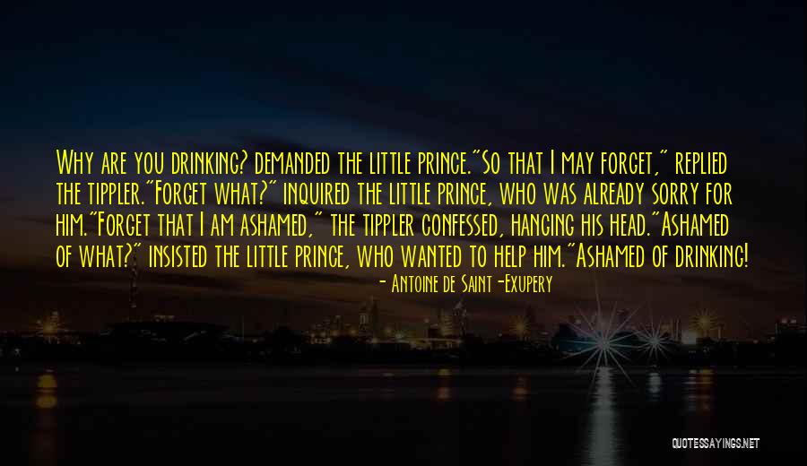 Mrs Tippler Quotes By Antoine De Saint-Exupery