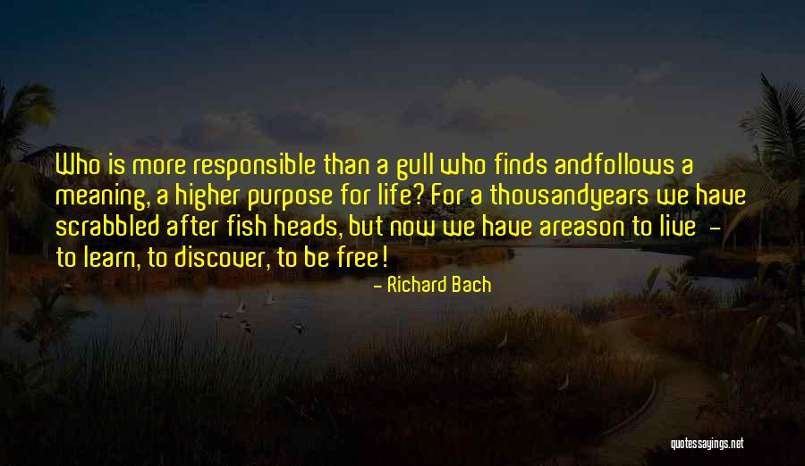 Mrsa Skin Quotes By Richard Bach Mrsa Skin Quotes By Richard Bach