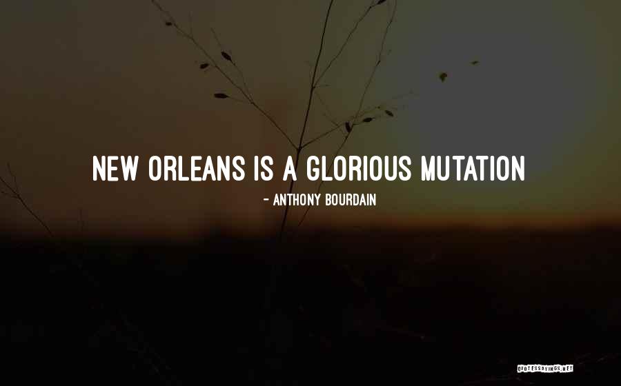 Ms Dubose In To Kill A Mockingbird Quotes By Anthony Bourdain Ms Dubose In To Kill A Mockingbird Quotes By Anthony Bourdain