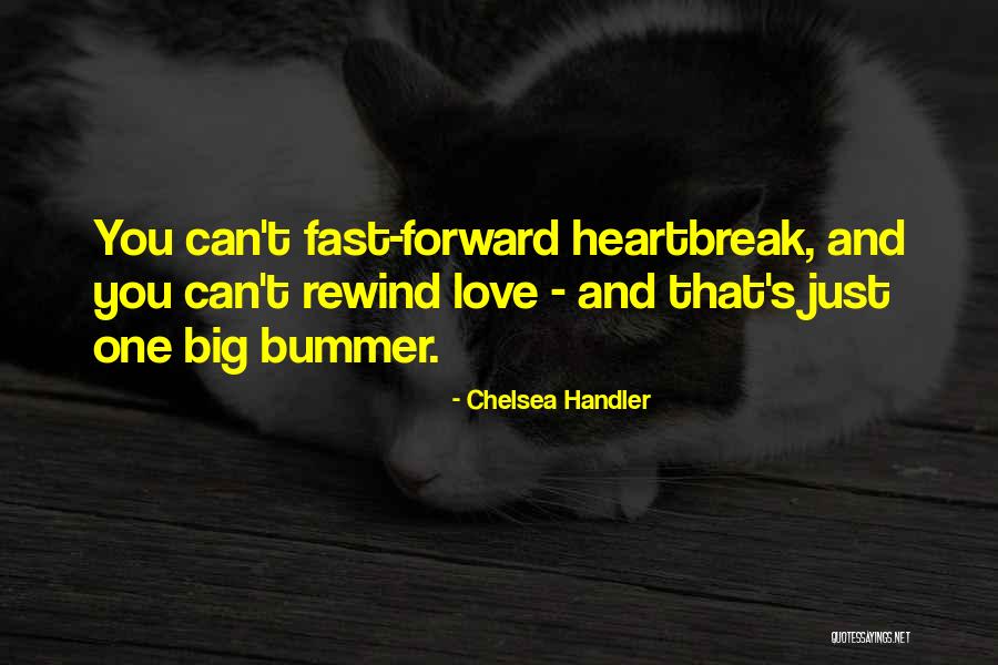 Ms Envision Quotes By Chelsea Handler Ms Envision Quotes By Chelsea Handler