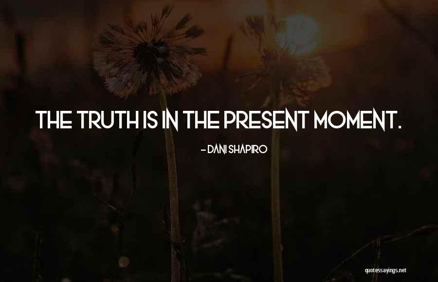 Ms Peregrine Quotes By Dani Shapiro Ms Peregrine Quotes By Dani Shapiro