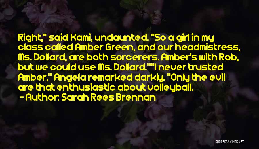 Ms Right Quotes By Sarah Rees Brennan