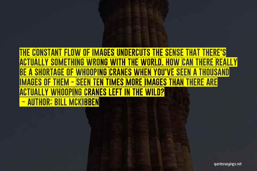 Msu Riley Center Quotes By Bill McKibben