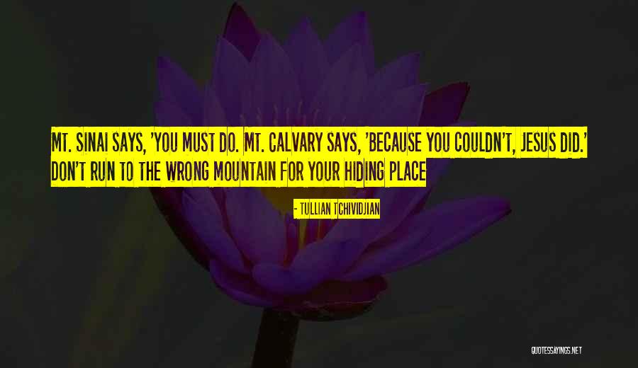 Mt Sinai Quotes By Tullian Tchividjian