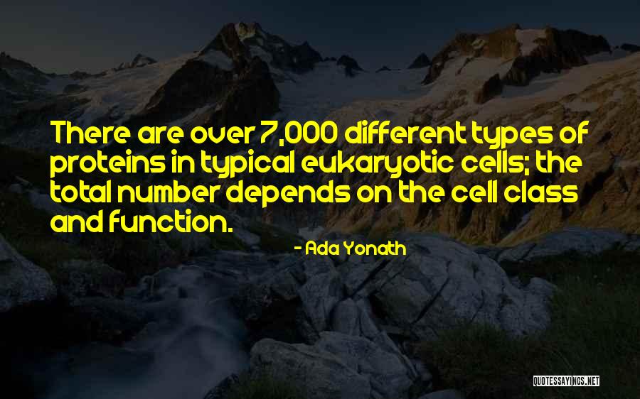 Mtakatifu Quotes By Ada Yonath Mtakatifu Quotes By Ada Yonath