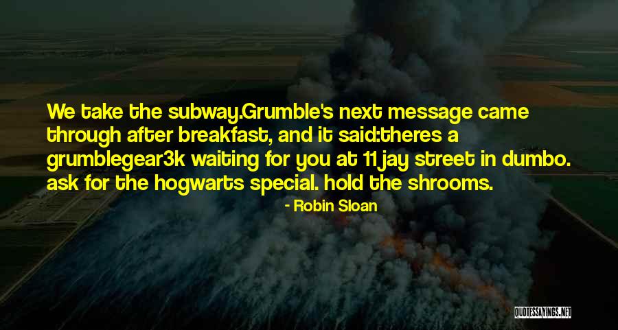 Mthobisi Langa Quotes By Robin Sloan Mthobisi Langa Quotes By Robin Sloan