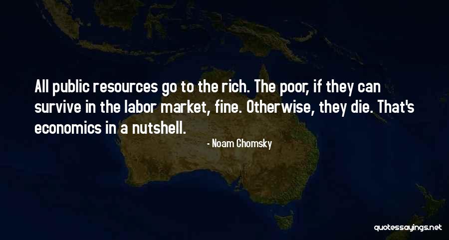 Muanda Beach Quotes By Noam Chomsky Muanda Beach Quotes By Noam Chomsky