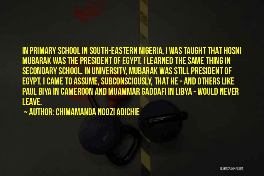 Mubarak Quotes By Chimamanda Ngozi Adichie