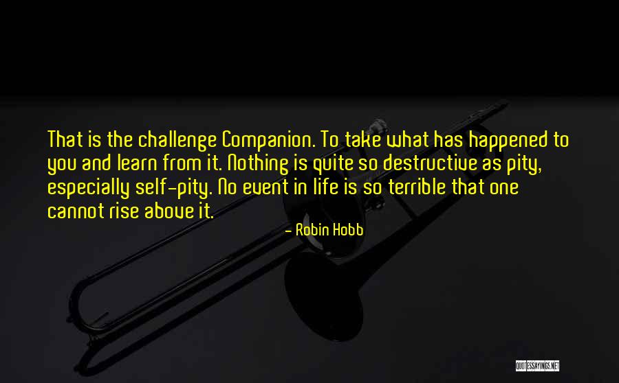 Mubasher Warraich Quotes By Robin Hobb Mubasher Warraich Quotes By Robin Hobb