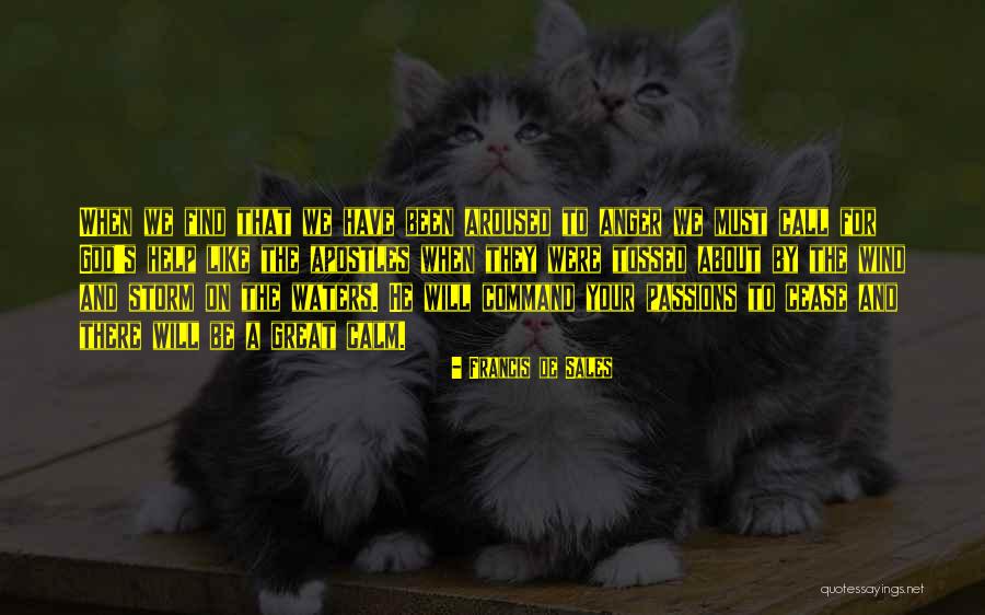 Mubeen Saudagar Quotes By Francis De Sales Mubeen Saudagar Quotes By Francis De Sales