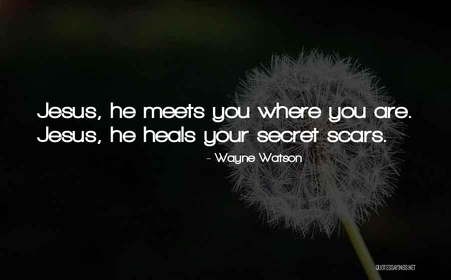 Mucas Quotes By Wayne Watson