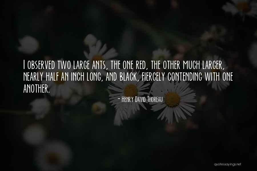 Much Larger Quotes By Henry David Thoreau Much Larger Quotes By Henry David Thoreau