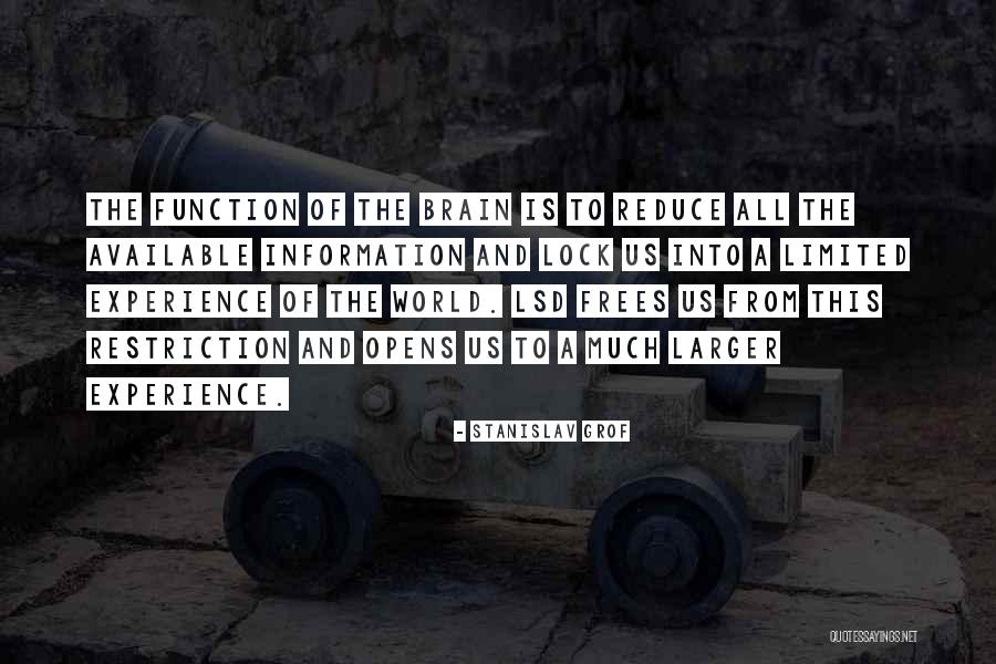 Much Larger World Quotes By Stanislav Grof Much Larger World Quotes By Stanislav Grof