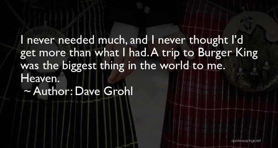 Much Needed Trip Quotes By Dave Grohl