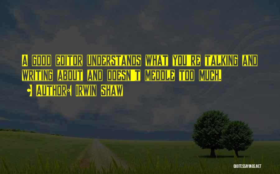 Much Talking Quotes By Irwin Shaw