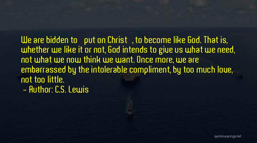 Much Too Much Quotes By C.S. Lewis