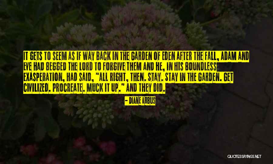 Muck Up Quotes By Diane Arbus Muck Up Quotes By Diane Arbus