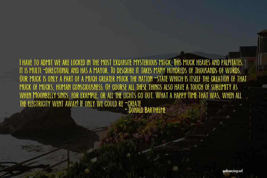 Muck Up Quotes By Donald Barthelme Muck Up Quotes By Donald Barthelme