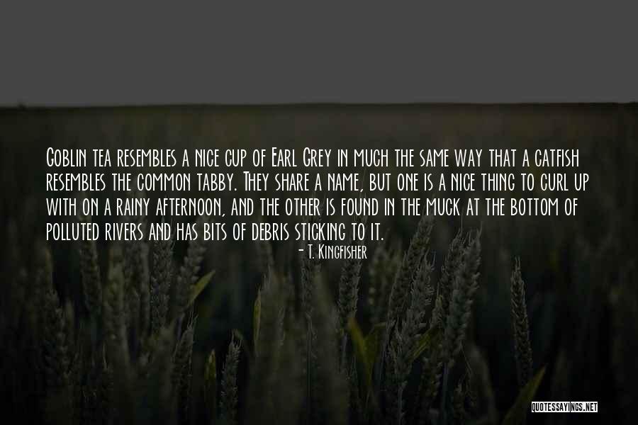 Muck Up Quotes By T. Kingfisher Muck Up Quotes By T. Kingfisher