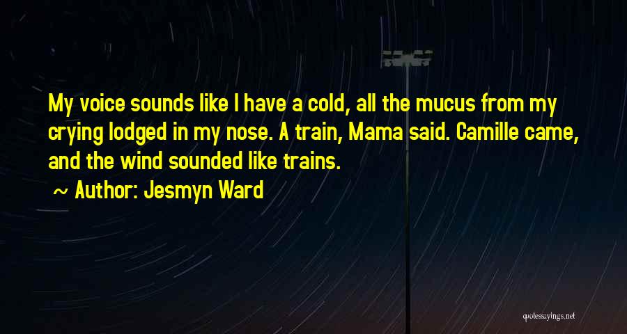 Mucus Quotes By Jesmyn Ward