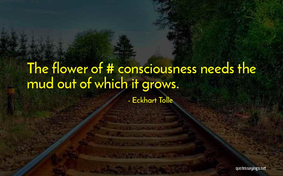 Mud Out Quotes By Eckhart Tolle Mud Out Quotes By Eckhart Tolle