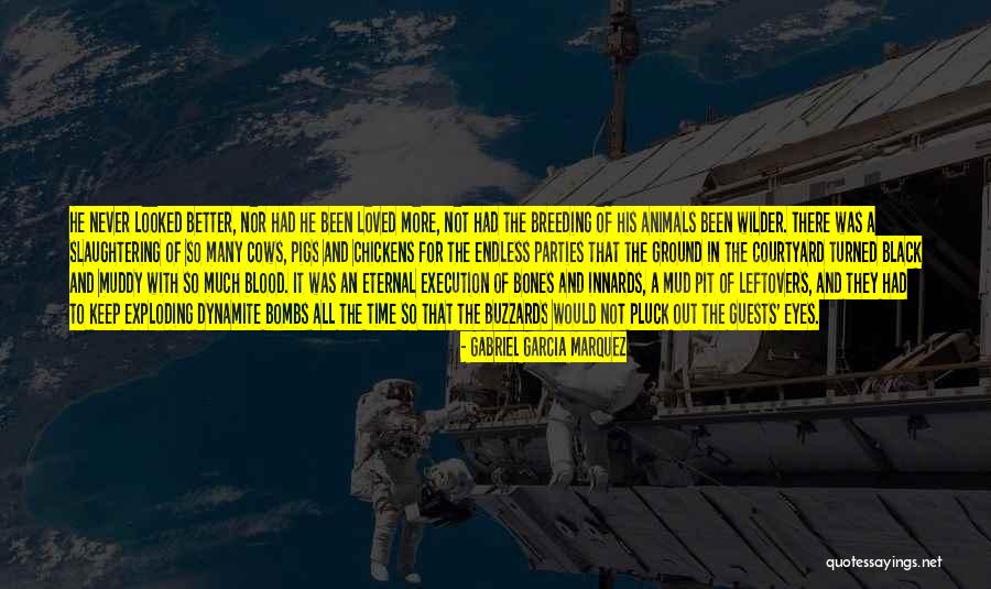 Mud Out Quotes By Gabriel Garcia Marquez Mud Out Quotes By Gabriel Garcia Marquez